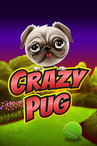 Crazy Pug демо игровой автомат | VAVADA Казино бесплатно