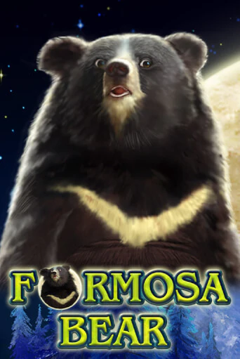 Formosa Bear демо игровой автомат | VAVADA Казино бесплатно