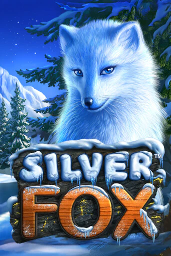 Silver Fox демо игровой автомат | VAVADA Казино бесплатно