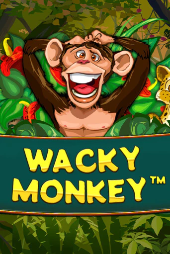 Wacky Monkey демо игровой автомат | VAVADA Казино бесплатно