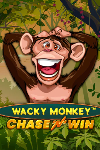 Wacky Monkey - Chase'N'Win демо игровой автомат | VAVADA Казино бесплатно