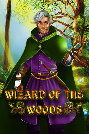 Wizard of the Woods демо игровой автомат | VAVADA Казино бесплатно