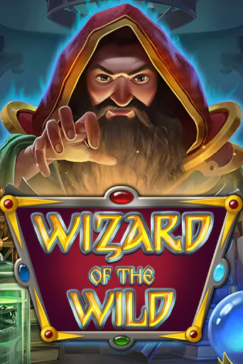 Wizard of the Wild демо игровой автомат | VAVADA Казино бесплатно