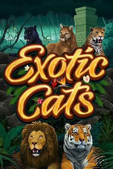 Exotic Cats демо игровой автомат | VAVADA Казино бесплатно